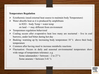 Temperature Regulation
 Ectothermic (need external heat source to maintain body Temperature)
 Water absorbs heat as it is produced by amphibians
in H2O – body Temp = water temp
on land - = may different from environment
 Temperature regulation behavioral
 Coaling occurs after evaporative heat loss many are nocturnal – live in coal
burrows, under leaf bitter during hot day
 Basking: warming up by increasing body temperature 10 ºc above their body
temperature
 Common after having meal to increase metabolic reactions
 Fluctuation: Occurs in daily and seasonal environmental temperature show
wide range of temperature tolerance .e.g
Some salamanders = between – 2 to 27 ºc
Some anurans = between 3-41 ºc
 