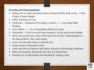 Excretion and Osmoregulation:
 Kidneys lie on either side dorsal aorta on dorsal wall the body cavity. → Duct
Cloaca, Urinary bladder
 Either Ammonia or Urea.
 Freshwater - Ammonia & No energy is used in →→ converting Other
Products
 Toxic effects → → b/c of immediate diffusion in mater
 Terrestrials → Urea Less toxic than Ammonia. Can be stored urine bladder
 Some com excrete mm. when in H₂0 and Urea on land." Osmoregulation is
the main problem. They must release
 excess of water and conserve essential cons
 Large amount of Hypotonic Urine
 Limit water loss by behavior that reduce exposure to dessicating conditions
 Many are nocturnal. During day they move to humid areas
 Diurnals live in high humid, and rehydrate by entering water
 