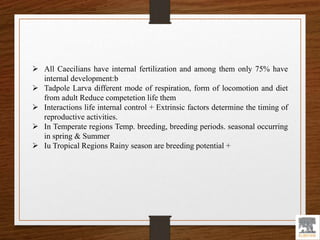  All Caecilians have internal fertilization and among them only 75% have
internal development:b
 Tadpole Larva different mode of respiration, form of locomotion and diet
from adult Reduce competetion life them
 Interactions life internal control + Extrinsic factors determine the timing of
reproductive activities.
 In Temperate regions Temp. breeding, breeding periods. seasonal occurring
in spring & Summer
 Iu Tropical Regions Rainy season are breeding potential +
 