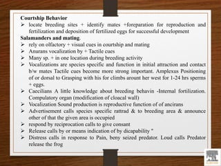 Courtship Behavior
 locate breeding sites + identify mates +foreparation for reproduction and
fertilization and deposition of fertilized eggs for successful development
Salamanders and mating.
 rely on olfactory + visual cues in courtship and mating
 Anurans vocalization by + Tactile cues
 Many sp. + in one location during breeding activity
 Vocalizations are species specific and function in initial attraction and contact
b/w mates Tactile cues become more strong important. Amplexus Positioning
of or dorsal to Grasping with his for climbs arount her west for 1-24 hrs sperms
+ eggs.
 Caecilians A little knowledge about breeding behavin -Internal fortilization.
Compulatory organ (modification of cloacal wall)
 Vocalization Sound production is reproductive function of of ancirans
 Advertisement calls species specific rattrad & to breeding area & announce
other of that the given area is occupied
 respond by reciprocation calls to give consant
 Release calls by or means indication of by dicapability "
 Distress calls in response to Pain, beny seized predator. Loud calls Predator
release the frog
 