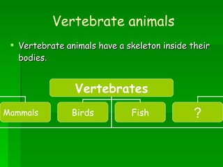 Vertebrate animals ,[object Object],Vertebrates Mammals Birds ? Fish 