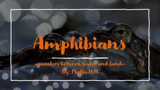 Amphibians
••masters between water and land••
By: Phetla H.M
 