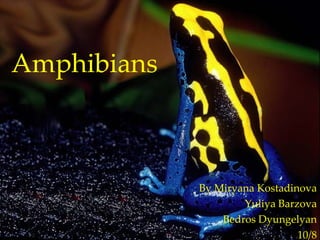 Amphibians By Miryana Kostadinova Yuliya Barzova Bedros Dyungelyan 10/8 