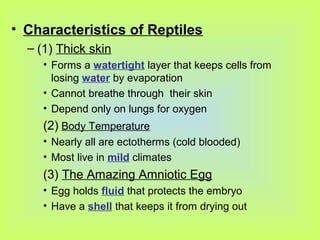 • Characteristics of Reptiles
  – (1) Thick skin
     • Forms a watertight layer that keeps cells from
       losing water by evaporation
     • Cannot breathe through their skin
     • Depend only on lungs for oxygen
     (2) Body Temperature
     • Nearly all are ectotherms (cold blooded)
     • Most live in mild climates
     (3) The Amazing Amniotic Egg
     • Egg holds fluid that protects the embryo
     • Have a shell that keeps it from drying out
 