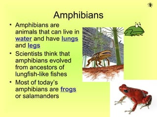 Amphibians
• Amphibians are
  animals that can live in
  water and have lungs
  and legs
• Scientists think that
  amphibians evolved
  from ancestors of
  lungfish-like fishes
• Most of today’s
  amphibians are frogs
  or salamanders
 