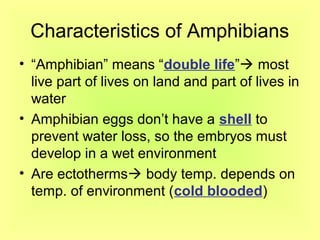 Characteristics of Amphibians
• “Amphibian” means “double life” most
  live part of lives on land and part of lives in
  water
• Amphibian eggs don’t have a shell to
  prevent water loss, so the embryos must
  develop in a wet environment
• Are ectotherms body temp. depends on
  temp. of environment (cold blooded)
 
