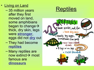 • Living on Land
   – 35 million years        Reptiles
     after they first
     moved on land,
     some amphibians
     began to change
     thick, dry skin, legs
     were stronger,
     eggs did not dry out
   – They had become
     reptiles
   – Many reptiles are
     now extinct most
     famous are
     dinosaurs
 