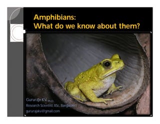 Amphibians:
     What do we know about them?




Gururaja KV, Ph.D.,
Research Scientist, IISc, Bangalore
gururajakv@gmail.com
 