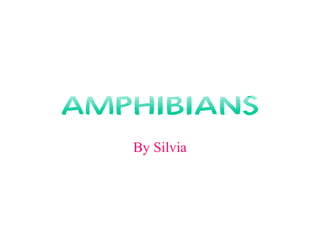AMPHIBIANS
By Silvia
 