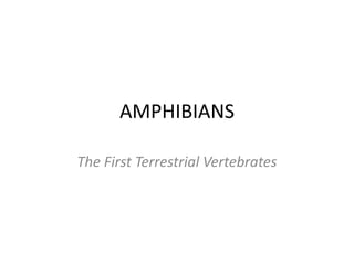 AMPHIBIANS
The First Terrestrial Vertebrates
 