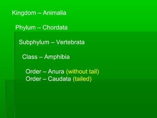 Amphibians Introduction Notes | PPT