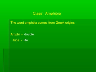 Amphibians Introduction Notes | PPT