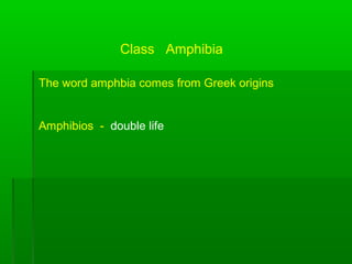 Amphibians Introduction Notes | PPT