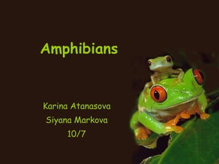   Amphibians Karina Atanasova Siyana Markova 10/7 
