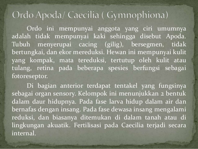 Amphibia reptilia pisces Amphibia reptilia pisces