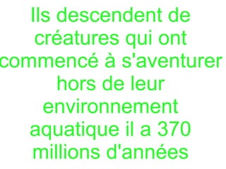 Ils descendent de
créatures qui ont
commencé à s'aventurer
hors de leur
environnement
aquatique il a 370
millions d'années