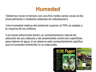 •Debemos rociar el terrario con una fina niebla varias veces al día
(manualmente o mediante sistemas de nebulización)
•Una humedad relativa del ambiente superior al 70% se adapta a
la mayoría de los anfibios.
•Las ranas arborícolas tienen un comportamiento natural de
aducción de sus cabezas y de presionarlas contra las superficies
para retener el agua; si se observa este comportamiento significa
que la humedad ambiental no es adecuada.
 
