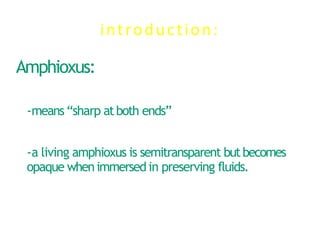 introduction:
Amphioxus:
-means “sharp atboth ends”
-a living amphioxus is semitransparent butbecomes
opaque whenimmersedin preserving fluids.
 