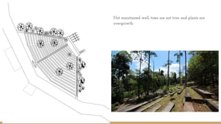 Not maintained well, trees are not trim and plants are
overgrowth.
 