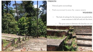 STRENGTH
- Natural green surroundings.
- Fresh environment to enjoy the greeny scenery.
WEAKNESS
- The lack of railings for the staircase can potentially
cause someone to fall off and into the drain
- The grass areas in between the benches are not
properly maintained
 