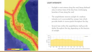 LIGHT INTENSITY
- Sunlight is most intense along the road, being sheltered
only at certain times of the day from overhanging
branches of trees along the road
- The amphitheatre receives sunlight of a medium
intensity as it is surrounded by canopy trees which
provides shade at various points throughout the day
- Several trees within the amphitheatre itself provide
shelter throughout the day depending on the direction
of sunlight
 