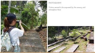 PHOTOGRAPHY
Visitors seemed to be engrossed by the scenery and
atmosphere there
 