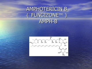 AMPHOTERICIN B （ FUNGIZONE TM ）   AMPH-B 