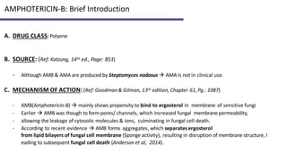 Amphotericin Slide Deck Rev.pptx