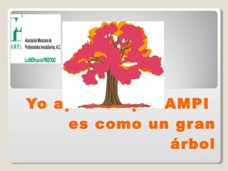 Yo aprendí que AMPI  es como un gran árbol 