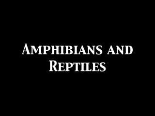 Amphibians and
   Reptiles
 
