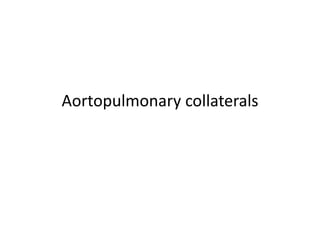 Aortopulmonary collaterals
 
