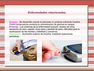 Enfermedades relacionadas.


Diabetes : Se desarrolla cuando el páncreas no produce suficiente Insulina.
Como consecuencia aumenta la concentración de glucosa en sangre.
Síntomas : Los síntomas de la enfermedad incluyen: exceso de orina,
sensación de sed y apetito, boca seca y pérdida de peso, dificultad para la
cicatrización de las heridas y debilidad y cansancio.
Tratamiento : Suministro externo de Insulina, mediante inyecciones
periódicas.
 