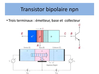 Transistor bipolaire npn
• Trois terminaux : émetteur, base et collecteur
 