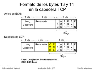 Formato de los bytes 13 y 14  en la cabecera TCP Antes de ECN: 4 bits 6 bits 4 bits 4 bits Después de ECN: CWR: Congestion Window Reduced ECE: ECN Echo 6 bits 8 bits Flags Flags ECE URG FIN SYN RST PSH ACK CWR Reservado  Long. Cabecera FIN SYN RST PSH ACK URG Reservado  Long. Cabecera 