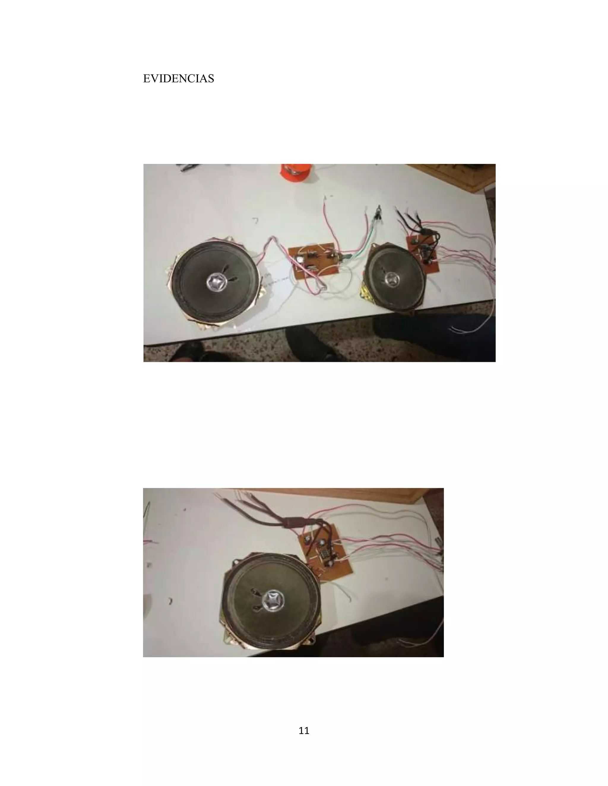 11
EVIDENCIAS
 