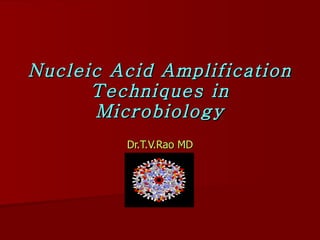 Nucleic Acid Amplification Techniques in Microbiology Dr.T.V.Rao MD 