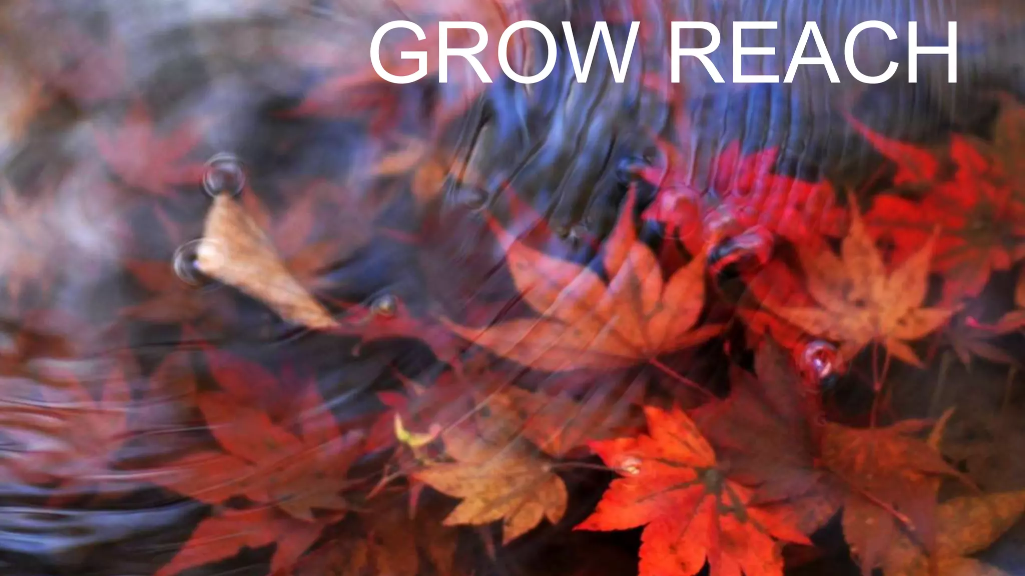 When developing a social media strategy
consider your buyer personas.
 