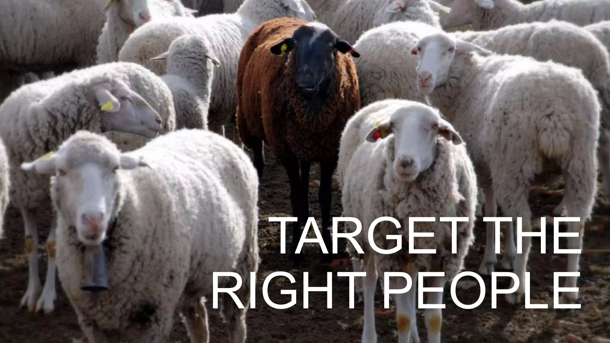 Once you have
found them,
stop and listen!
What kind of content are they
sharing? Posting?
Then you can…
 