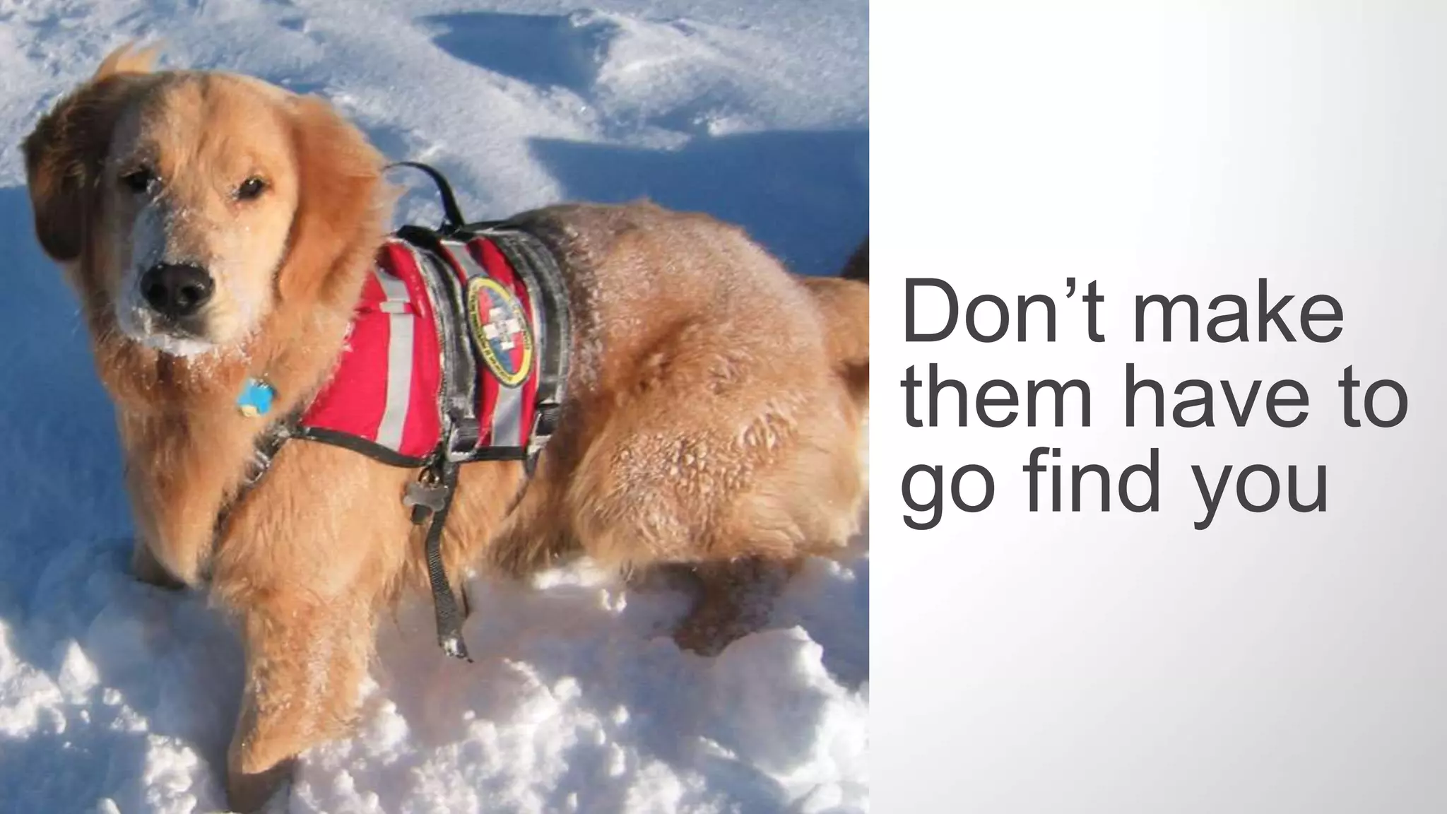 Think of your social media feeds
as your brand’s mix tape.
Create something new and express yourself using a unique mix of content.
 