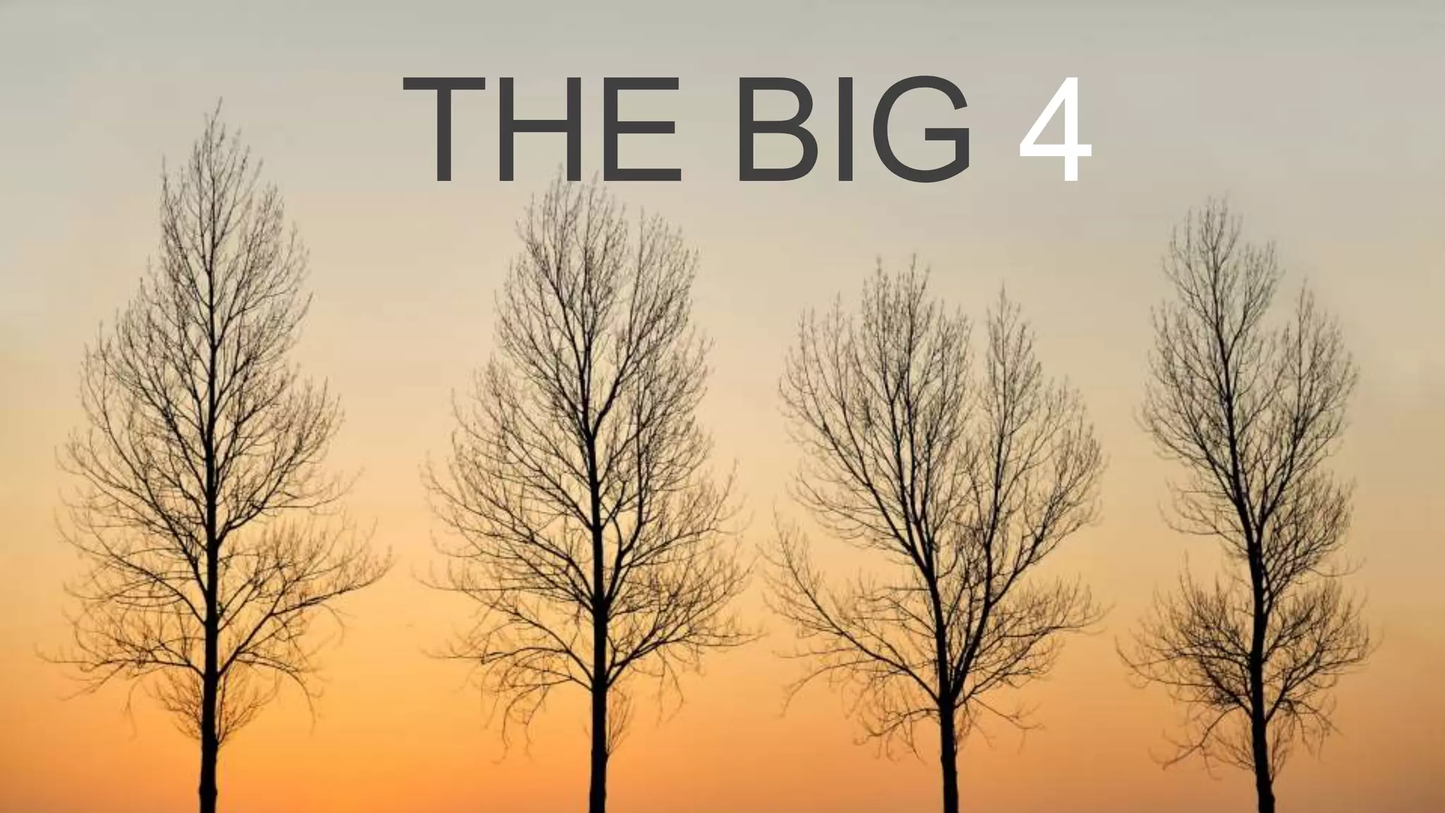 LINKEDIN
The Professional
FLICKR USER NAN PALMERO
 