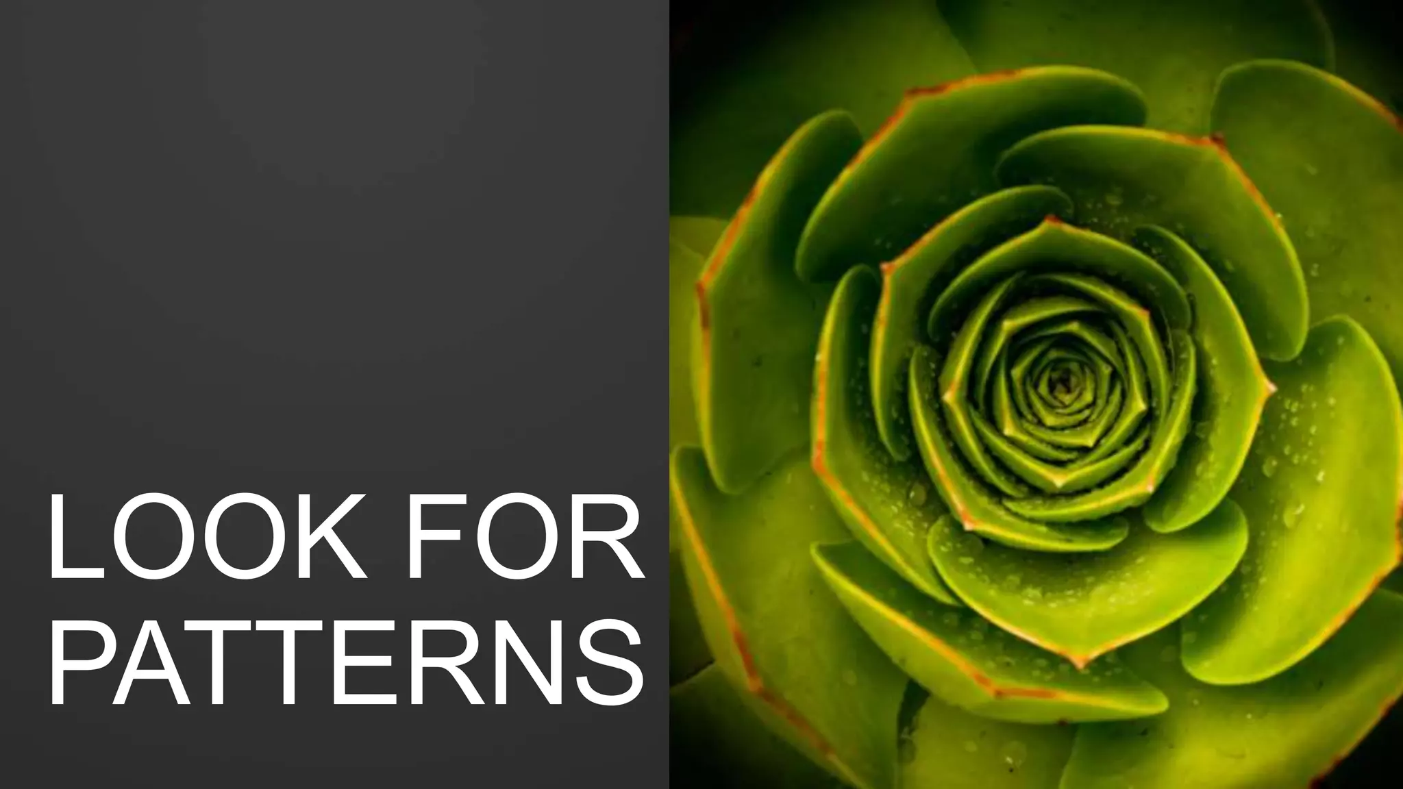 Make that social
proof visible!
WANT DATA JUST FOR
YOURSELF? GET THE
‘SOCIALSHARECHECK’
CHROME PLUGIN.
 