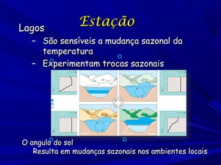 Lagos

Estação

– São sensíveis a mudança sazonal da
temperatura
– Experimentam trocas sazonais

O angulo do sol
Resulta em mudanças sazonais nos ambientes locais

 