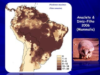 Priodontes maximus
(Tatu canastra)

Anacleto &
Diniz-Filho
2006
(Mammalia)

 