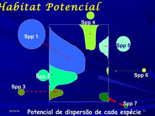 Habitat Potencial
Spp 4
Spp 1
Spp 5

Spp 2
Spp 2

Spp 6

Spp 3
Spp 7
02/10/14

Potencial de dispersão de cada espécie 11

 