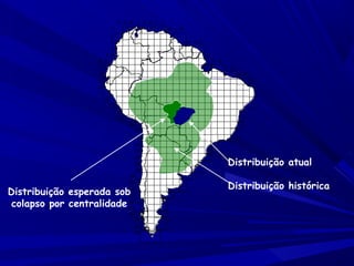 C D E F G H I J
1
2

K L M

3
4
5 B
6 A
7

N O P
Q
R S
T U
V W

8
9
10
11

X

12
13
14
15
16
17
18
19
20
21
22
23
24
25

26
Distribuição esperada sob
27
colapso por centralidade 28
29
30

31
32
33

Distribuição atual
Distribuição histórica

 