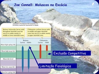 Joe Connell: Moluscos na Escócia

Exclusão Competitiva
Limitação Fisiológica

 