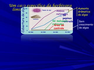 Cobertura de algas

Um caso específico da herbívora
limitando a distribuição
Ambos

CONCLUSION

100

Pepino do mar

retirados
Só
pepinos
Só moluscos
retirados
retirados
Área de
controle

80

60
molusco
40
20
0
08-1982

02-1983

08-1983

02-1984

Aumento
drámatico
de algas
Sem
crescimento
de algas

 