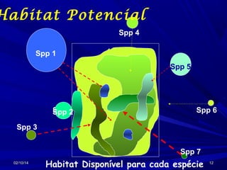 Habitat Potencial
Spp 4
Spp 1
Spp 5

Spp 2
Spp 2

Spp 6

Spp 3
Spp 7
02/10/14

Habitat Disponível para cada espécie

12

 