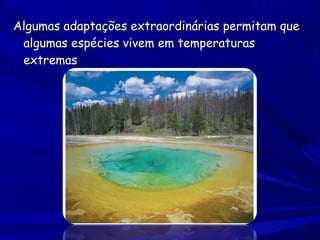 Algumas adaptações extraordinárias permitam que
algumas espécies vivem em temperaturas
extremas

 