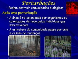 Perturbações

– Podem destruir comunidades biológicas

Após uma perturbação
– A área é re-colonizada por organismos ou
colonizados de novo pelos indivíduos que
sobreviveram
– A estrutura da comunidade passa por uma
sucessão de mudanças

 